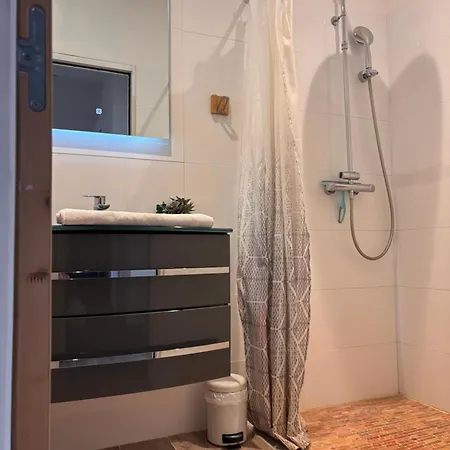Le Logis De Virginie - Climatisé Appartement *